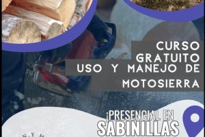 motosierra